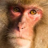 レオれーに田中のすべらない話