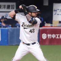 International Baseball Company