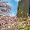 中野ボードゲーム同好会【2021新歓】