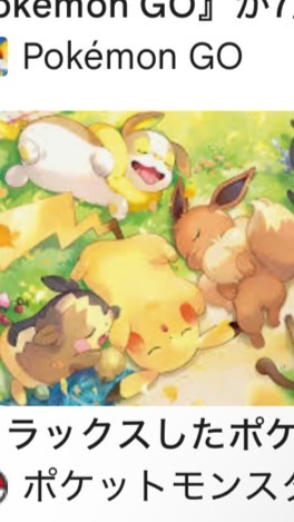 作家専用☆ポケポケオプチャ