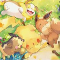 作家専用☆ポケポケオプチャ
