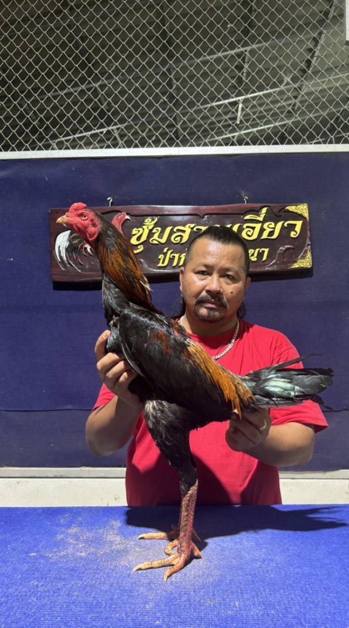 เพชรศักดิ์ดา