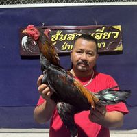 เพชรศักดิ์ดา