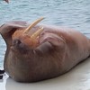 吹部の学生 おしゃべりしようぜ
