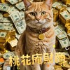💫桃花庵財商-理財/存錢/投資/小確幸