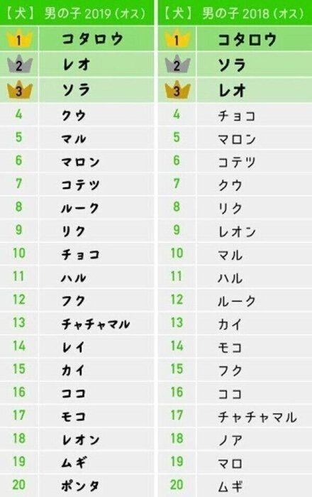 食べ物の名前が多数ランクイン メス犬の名前ランキング