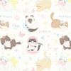 ₊⋆   𓈒 ᱸ ♥︎  Gemini Fie ᚐ   ﾟ 𓐄   ✿̫  .ᐟ ִִֶָ ٠˟