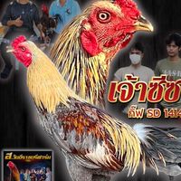 ซุ้ม ส.สามเจฟาร์ม