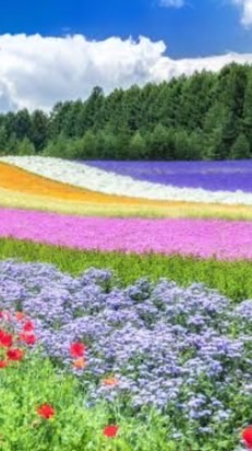 みんなで楽しく雑談しよう