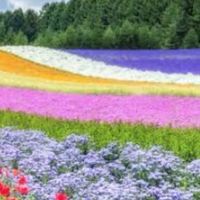 みんなで楽しく雑談しよう