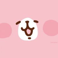 🐰兔小寶🐇