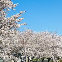 東海三県‎(愛知・岐阜・三重)地域情報交換部屋‎🏮👘🍽☕