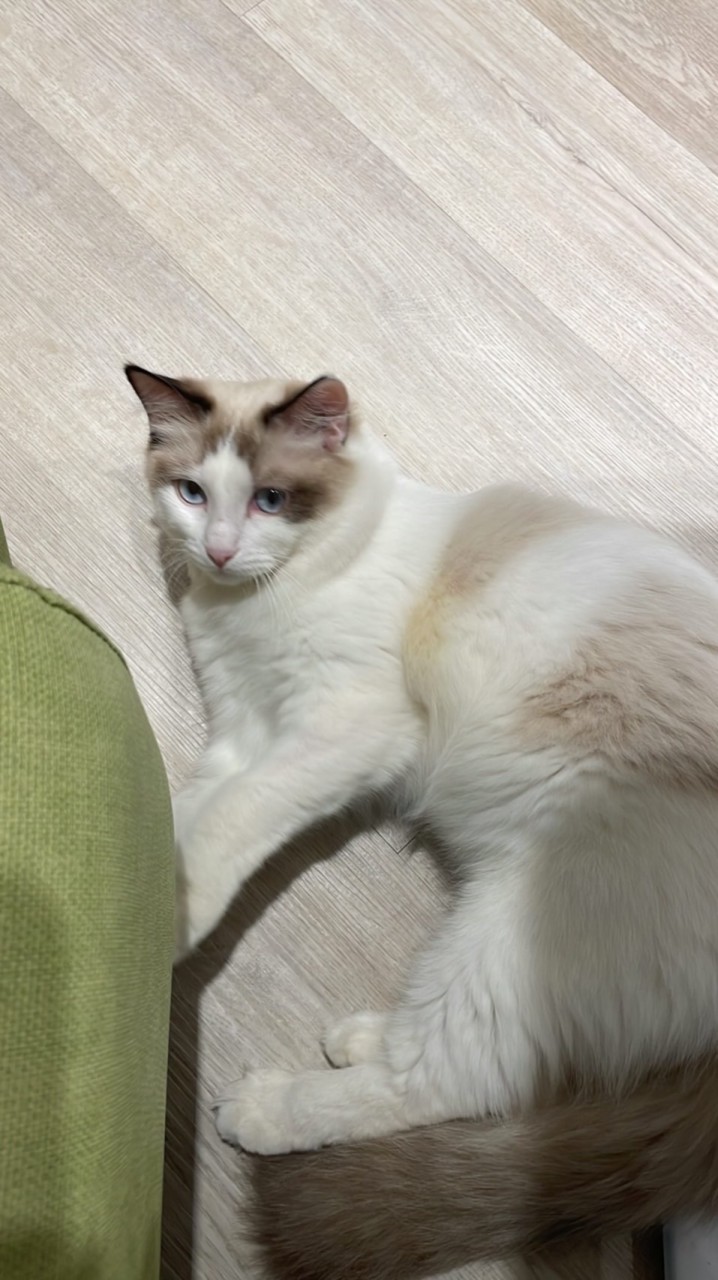 伊莉的小酒窩❤️
