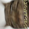 六奏 全力 激 緩 ゞゞゞゞゞゞ 也 ❣️❣️❣️❣️❣️❣️