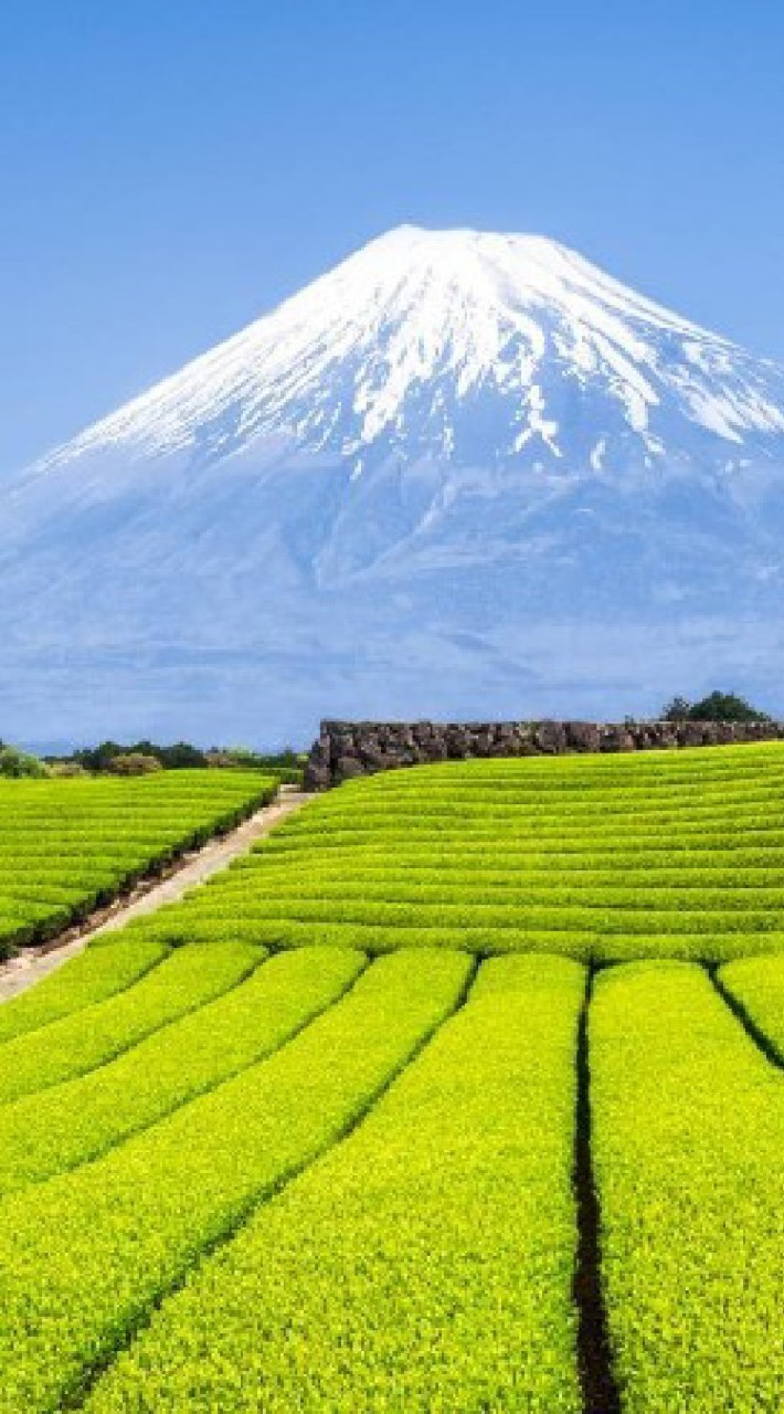 旅行蜜優惠～優惠促銷分享