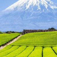 旅行蜜優惠～優惠促銷分享