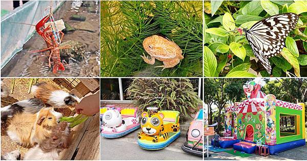 【台北景點】五股準園休閒生態農場-可以餵小動物、釣小龍蝦、看動物的好玩親子景點