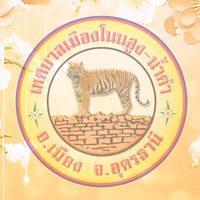 งานพัฒนารายได้ เทศบาลเมืองโนนสูง-น้ำคำ