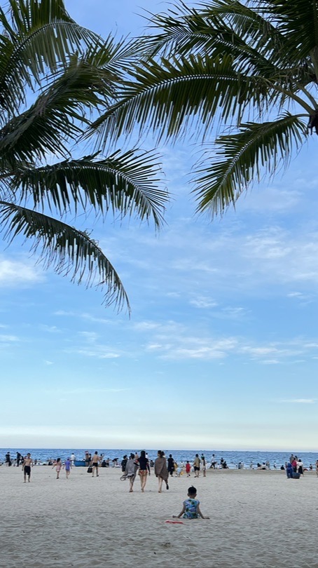 中越雙城5天