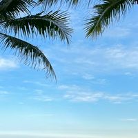 中越雙城5天