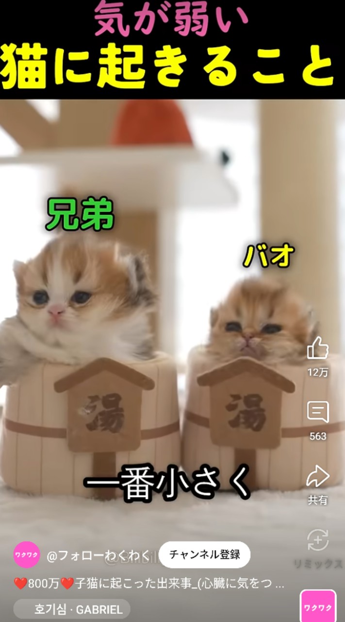 モンスト　絆