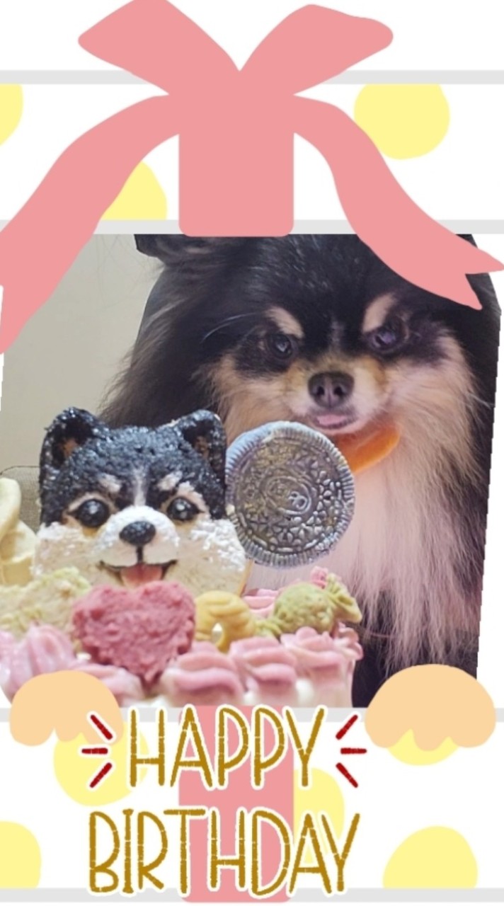 查克拉小舖🍭蛋糕🎂可麗露🧁寵物零食