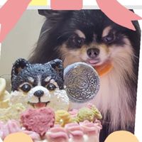 查克拉小舖🍭蛋糕🎂可麗露🧁寵物零食