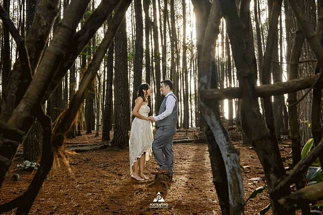 7 Wisata Hutan Pinus Yang Cocok Untuk Prewedding Keepo Me Line Today