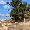 西日本🌈バイクツーリング、絶景、スイーツ、散策、御朱印