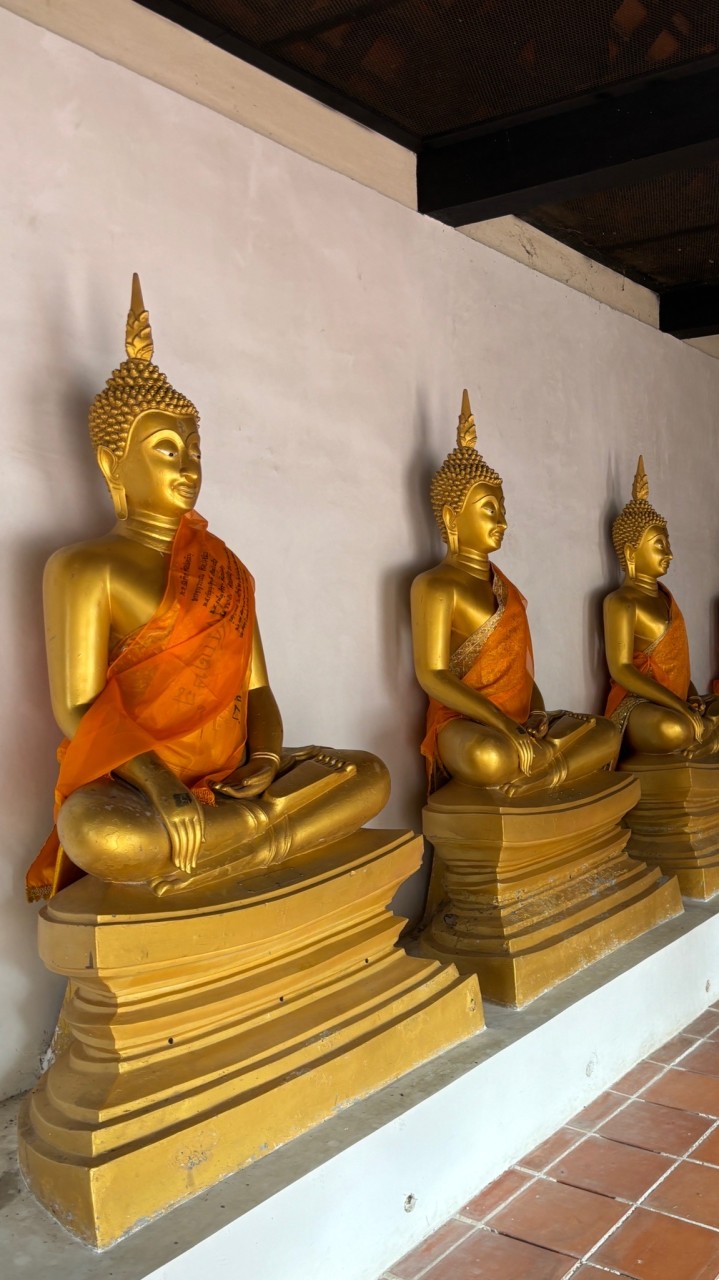 將將泰國佛牌🙏跑廟連線中
