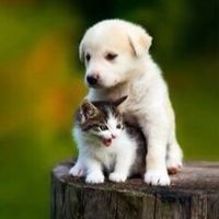 【動物・ペット好き】