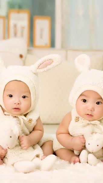 บริจาคไข่เรทสูง(บัญชีตรงบริษัท) ไทยและนอก