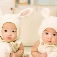 บริจาคไข่เรทสูง(บัญชีตรงบริษัท) ไทยและนอก