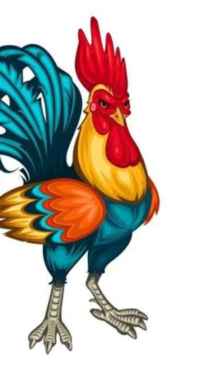 ไฮไลท์ ไก่ชน
