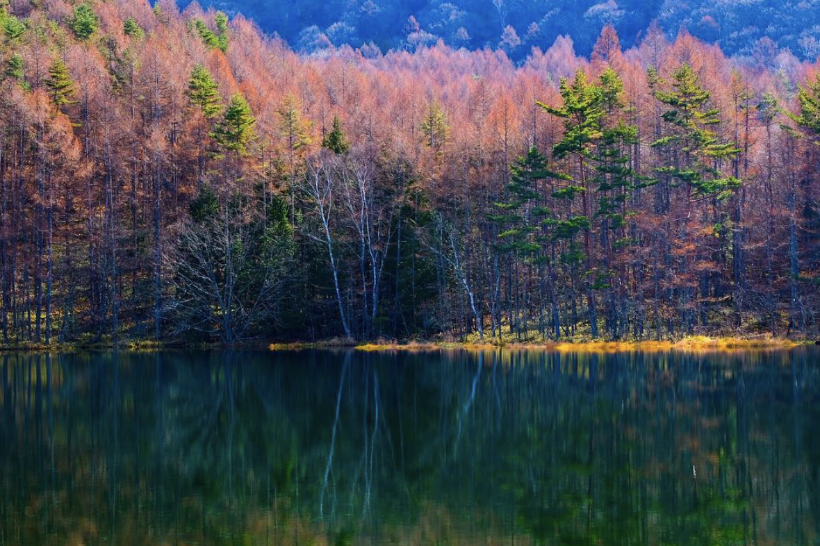 長野必去景點推薦 御射鹿池 隱身在長野高山裡的絕美仙境 此生必去的風景 Line購物
