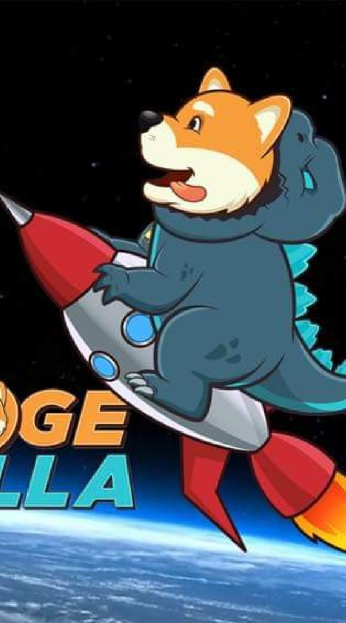 memecoin 1000x(born form dogezilla)
