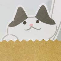 喵食饗宴-貓咪罐頭飼料貓砂用品團購