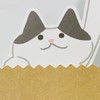 喵食饗宴-貓咪罐頭飼料貓砂用品團購