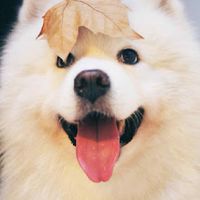 負能量聚集地