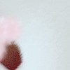 ロリィタさんの会