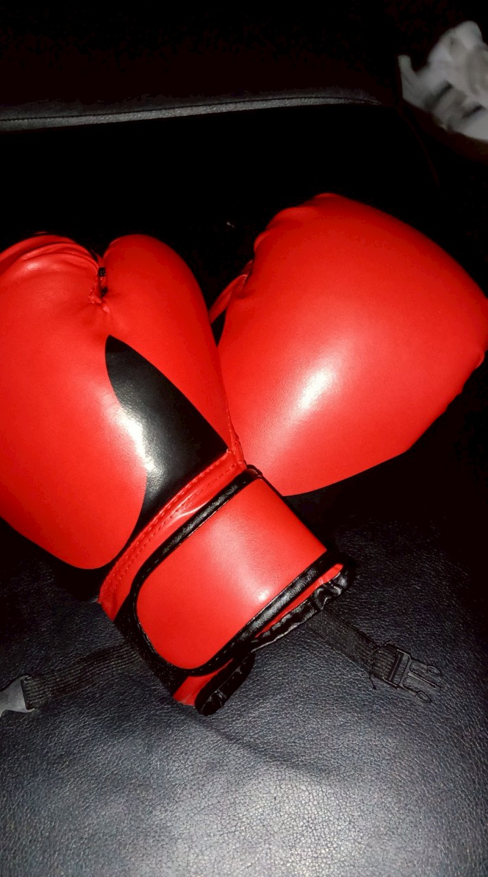 格闘技大好き同盟