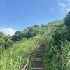 新北、台北（臨揪）吃喝玩樂-登山、打球🏀、吃美食
