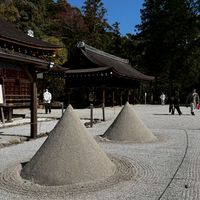 【YUJI】オンライン勉強会