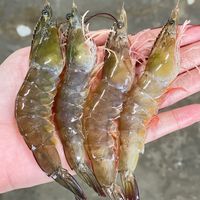 แพMJ กุ้งสด🦐