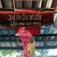 24กะรัตฟาร์ม