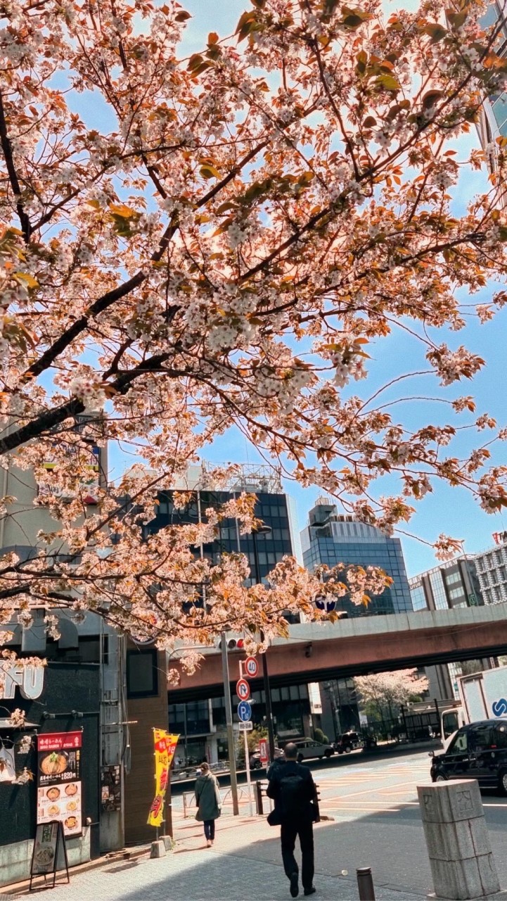 東京中古精品包/日本珍珠首飾/包車旅遊