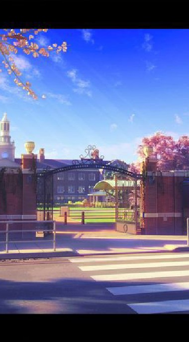 🌸 Sakura high school 🏫🌸