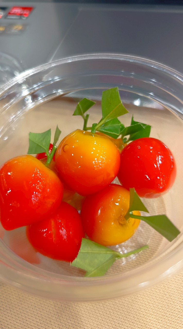 ทัศนศึกษา มหาชน 69