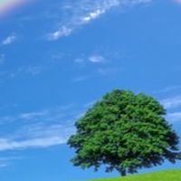 にじいろヨガ🌈