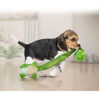 KONG 長脖子長頸鹿